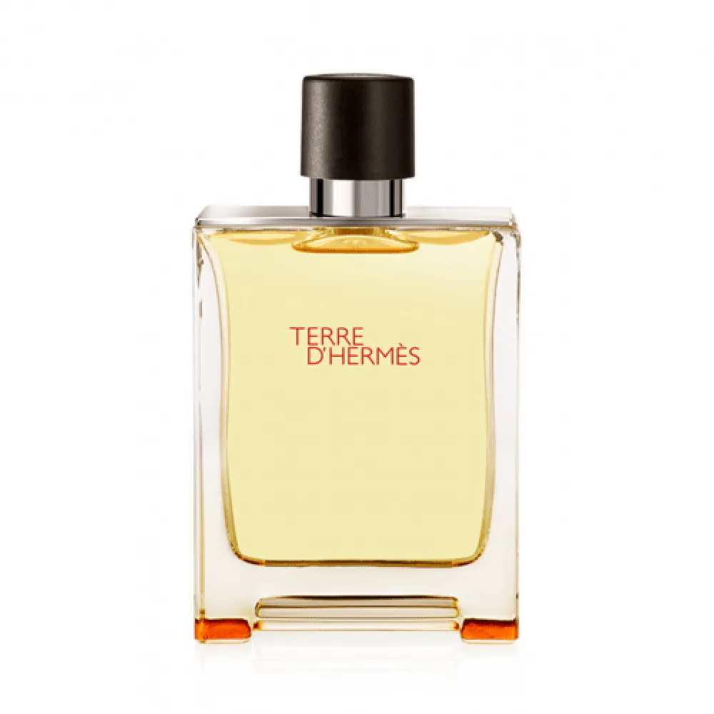 Hermes Terre D Hermes For Men - Eau De Toilette 100ml