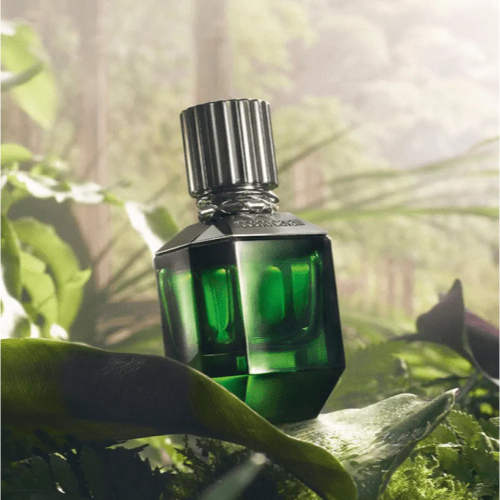 Roberto Cavalli Paradiso Found For Men- Eau de Toilette 50ml